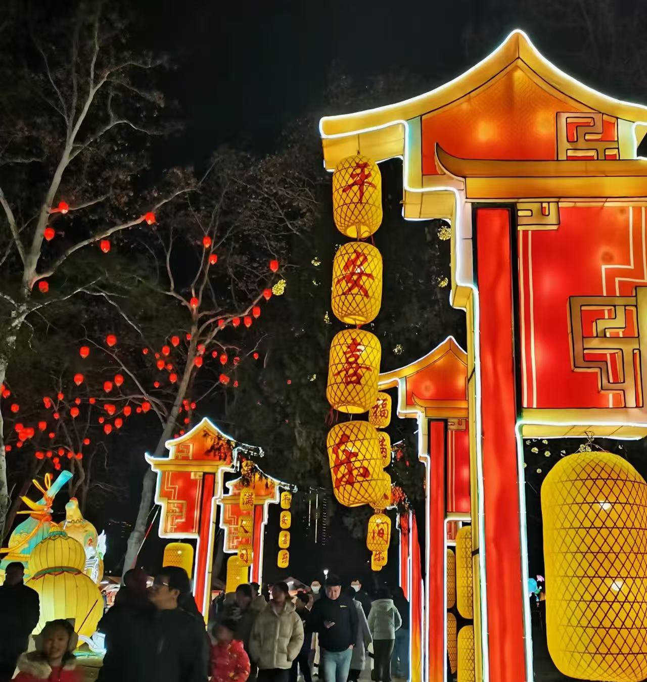 Spring Festival Lights in Hefei: A Thousand Lanterns of Huizhou Romance