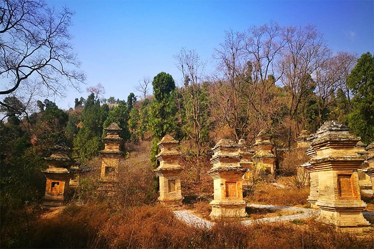 Ancient Chinese Architecture at Fengxue Temple: Timeless Zen and National Treasures