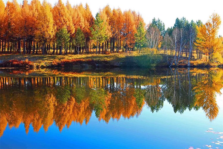 Saihanba National Forest Park: Hiking and Skiing in China's Lush Green Retreat