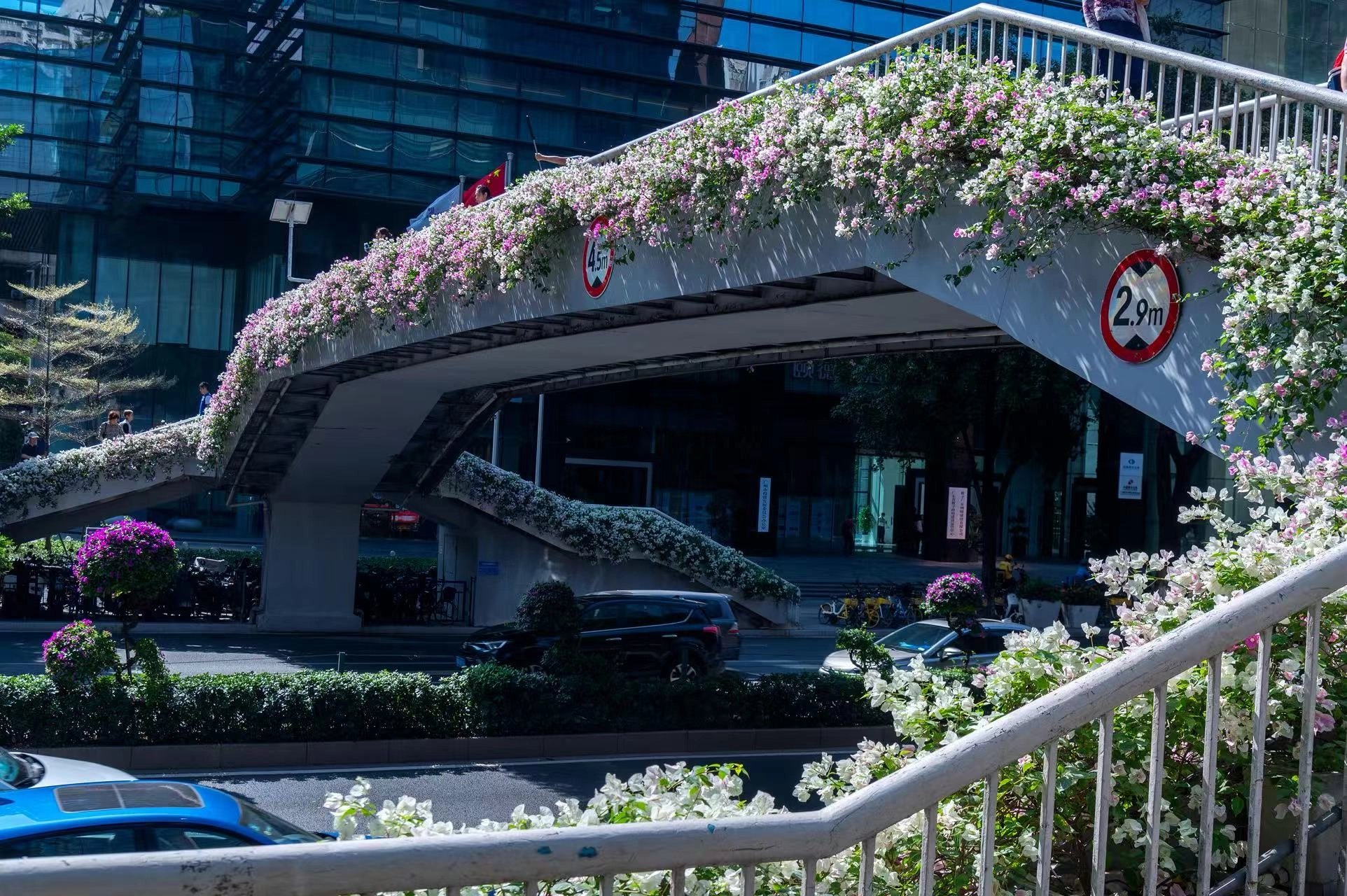 Guangzhou Food Street: One-Day Walking Tour of Eats and Sights