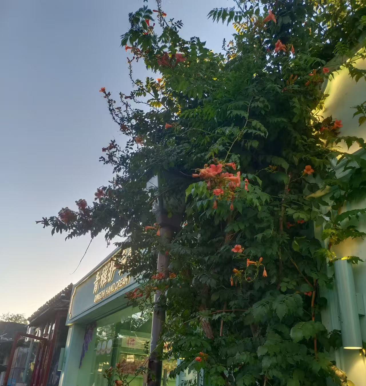 베이징 Street 음식: 후퉁 Walk and Local Eats