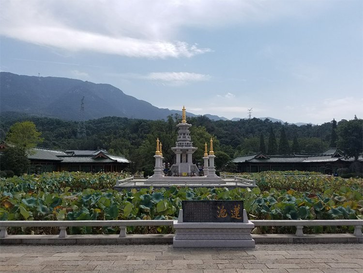 Monastic Farming at Yunju Mountain's Zhenru Temple: Cloud-Top Zen Guide
