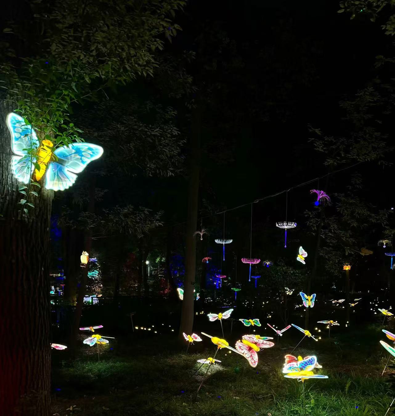Wuhan Botanical Garden: Top Botanical Garden in China for Aquatic Plants
