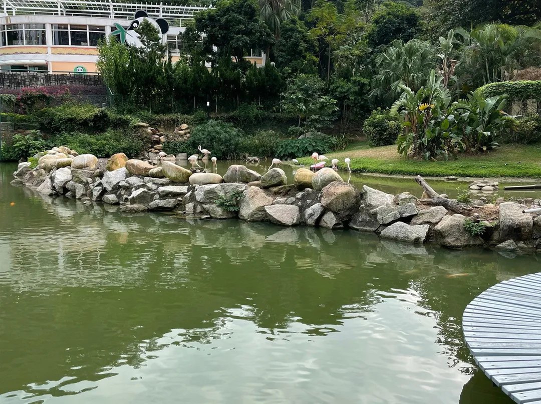 City Park Macau & Seac Pai Van Park: Complete Visitor's Guide